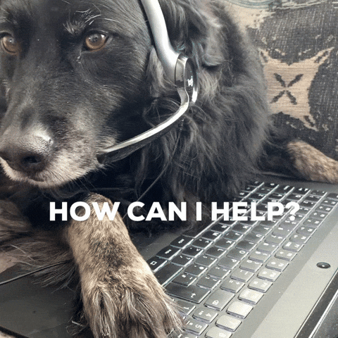 Dog Help